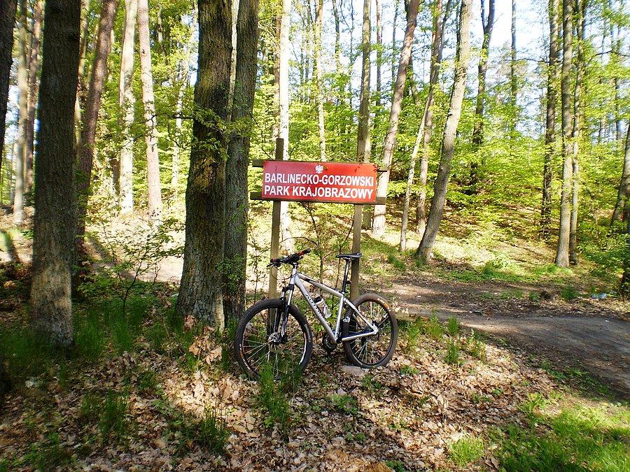 Barlinecko-Gorzowski Park Krajobrazowy