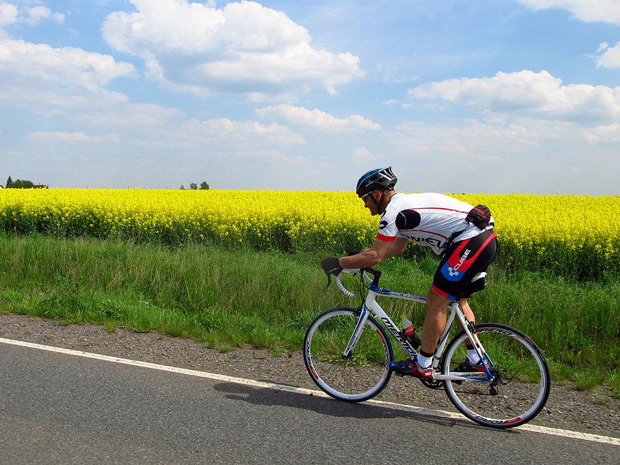 Kierunek opole