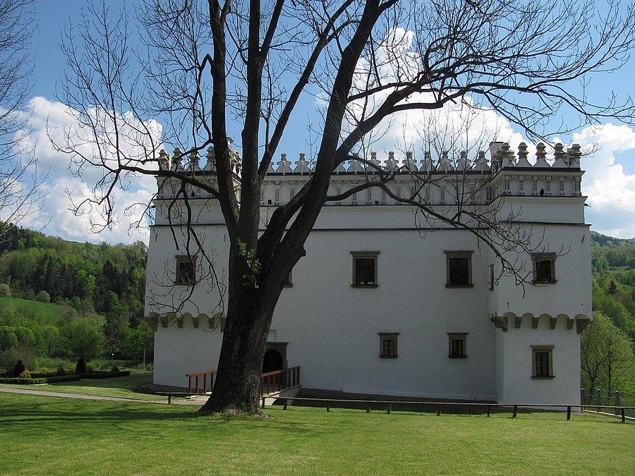 Kasztel w Szymbarku, na strychu kolonia podkowców małych