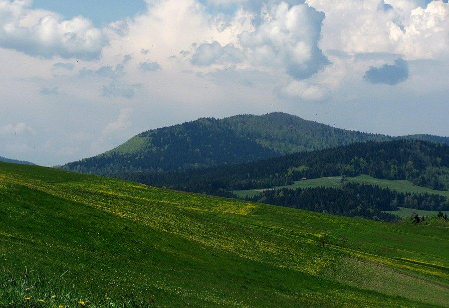 Jaworze z góry