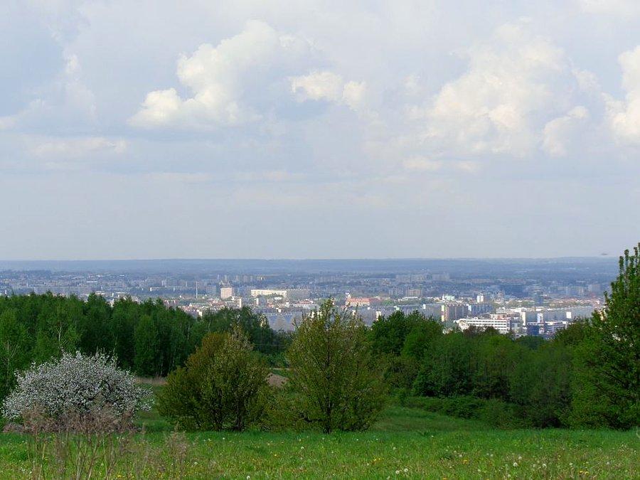 Rzeszów z Matysówki