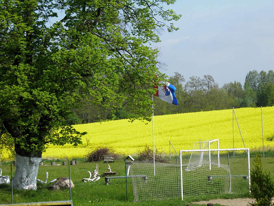 Warnik to przygraniczna wioska - w oddali kwitnący rzepak