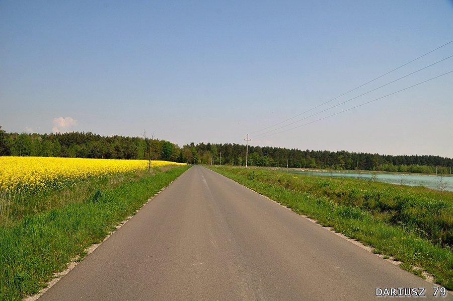 Bielcza droga w stronę Bożecina