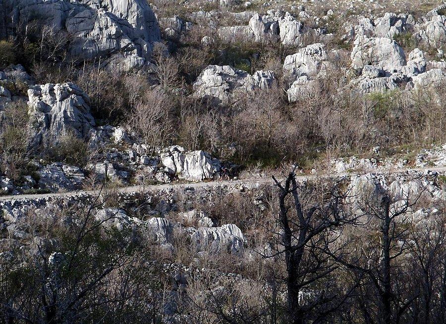 Ciężko oddać skalę