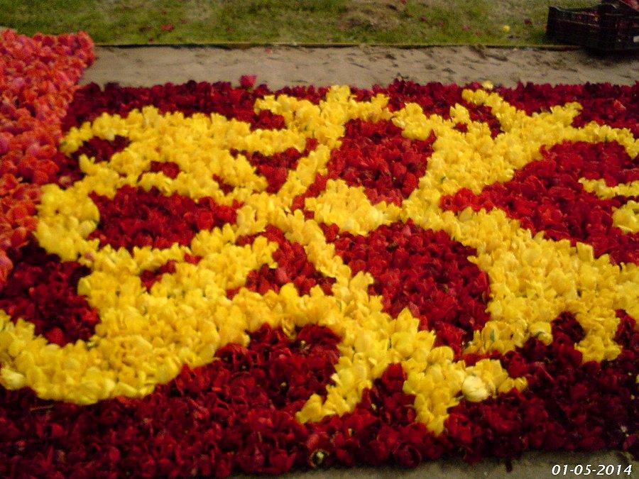 01-05-2014.Fotka nr.6. Kompozycja kwiatowa zrobiona z różnokolorowych tulipanów, dla uczczenia pamięci dla Św.Jana Pawła II. We wsi Mokry Dwór, koło Pruszcza Gdańskiego