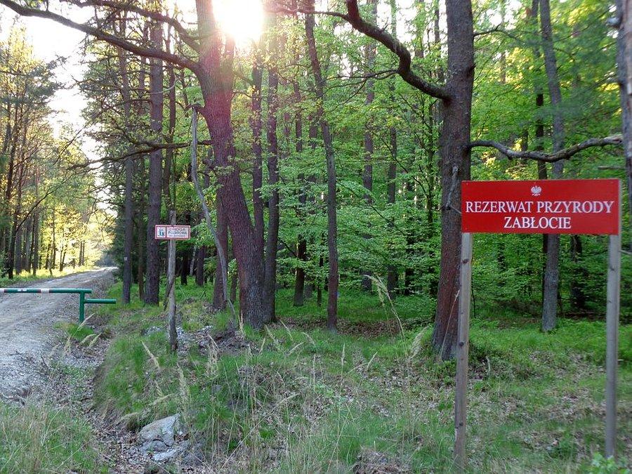 Koniec traski żółtego na dziś
