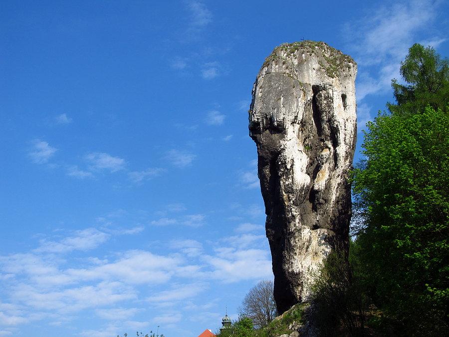 Maczuga herkulesa