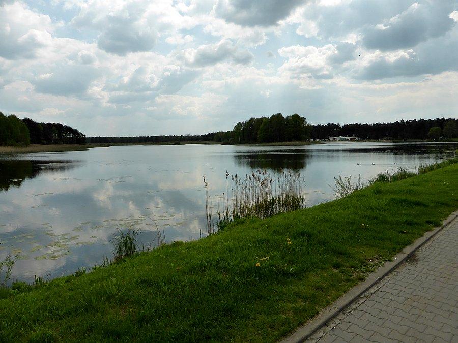 Zielona