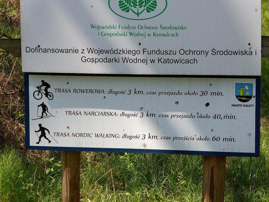 Nie za wolno?