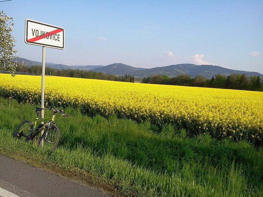 Beskid Morawskośląski z Wojkowic