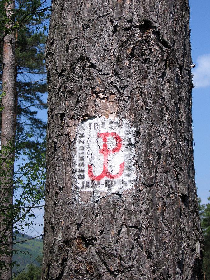 Oznaczenie Beskidzkiej Trasy Kurierskiej JAGA-KORA