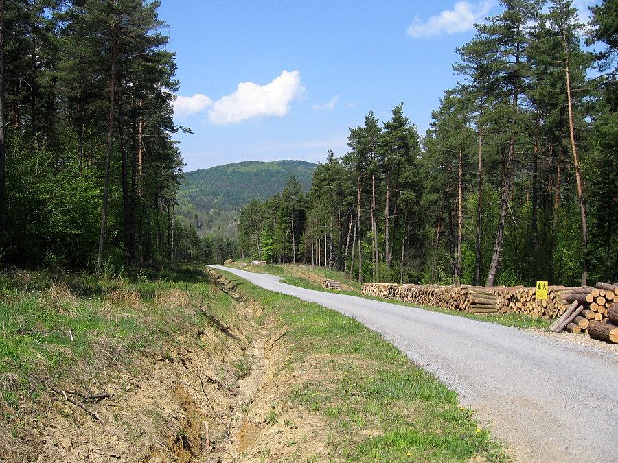 Beskidzkie szuterki