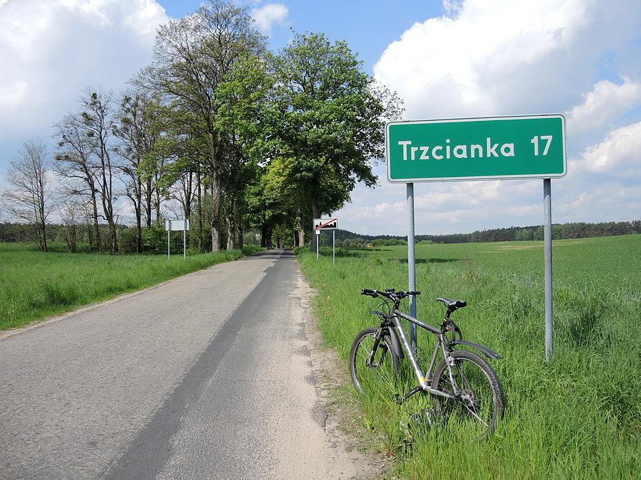 Droga w kierunku Siedliska