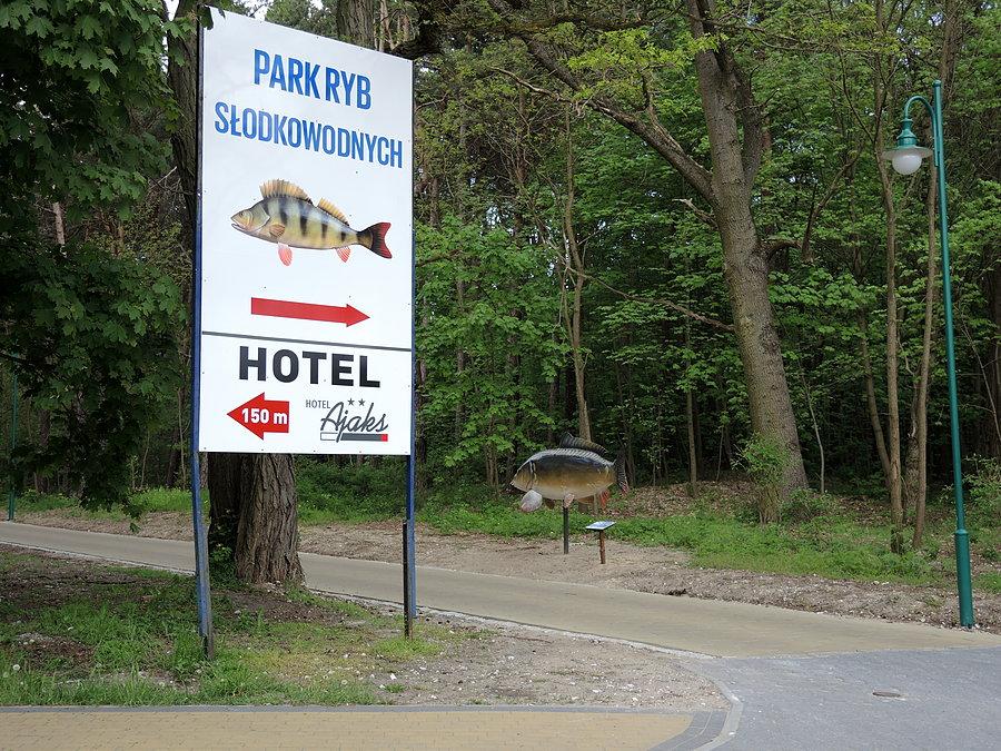 Trzcianka - park ryb słodkowodnych nad Jeziorem Sarcz