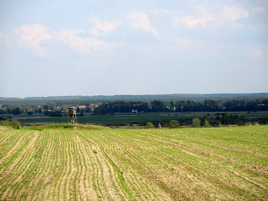 Widok na dolinę Noteci z trasy Biała - Radolin