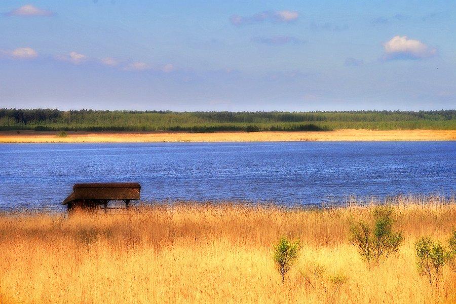 Widok z wieży na jezioro Świdwie