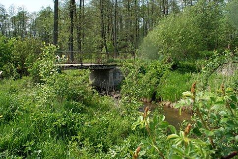 Grill rozpaliliśmy nad rzeczką Łupią