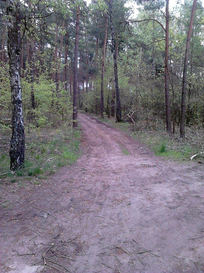 A ptem skończył