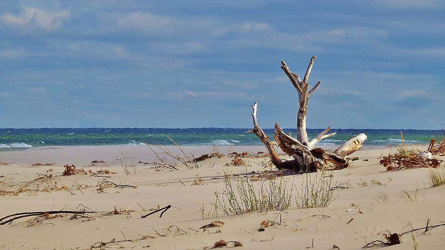 Na trasie wycieczki rowerowej -po Helu. Plaża