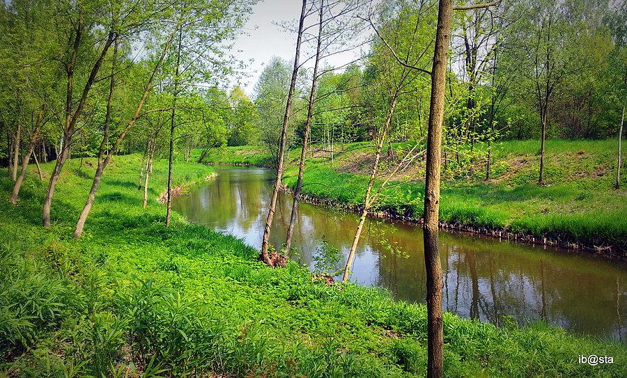 Całkiem nowe widoki na Przemszę cz.1
