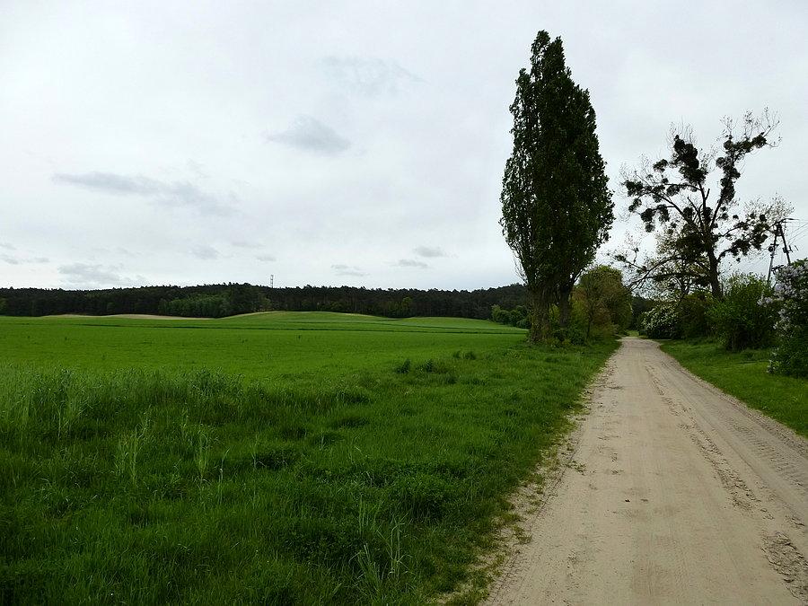 Spojrzenie za siebie po szybkim zjeździe do Jabłowa Pałuckiego