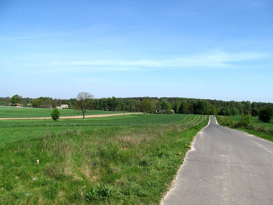 Okolice Kraszewka