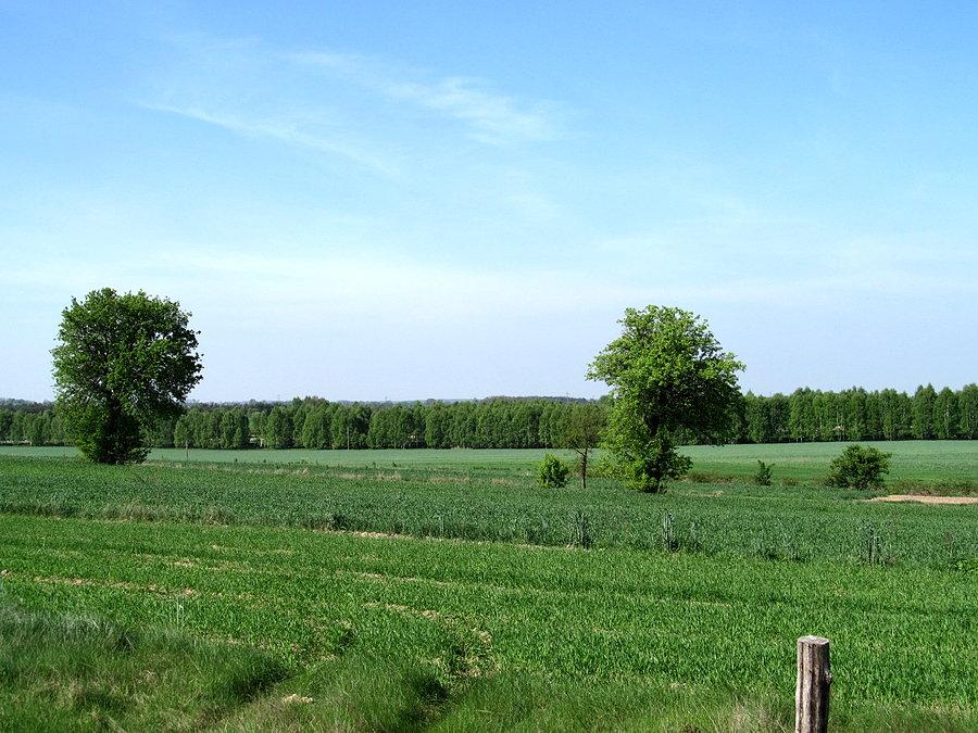 Okolice Kraszewka
