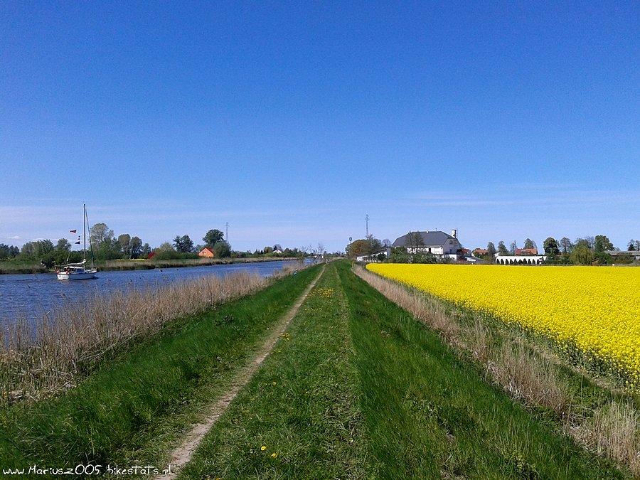 Nad rzeką Elbląg