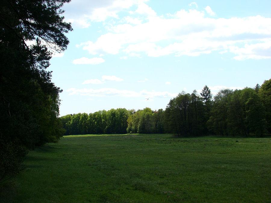 Widok z ambony