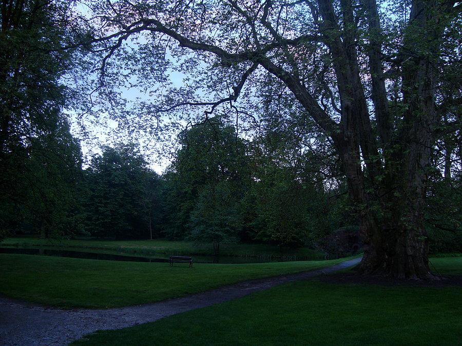 Park w Dobrzycy