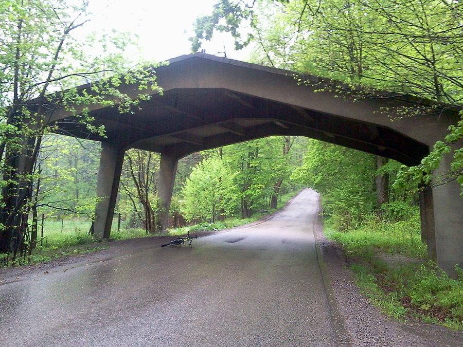 Dzięgielów - Cisownica