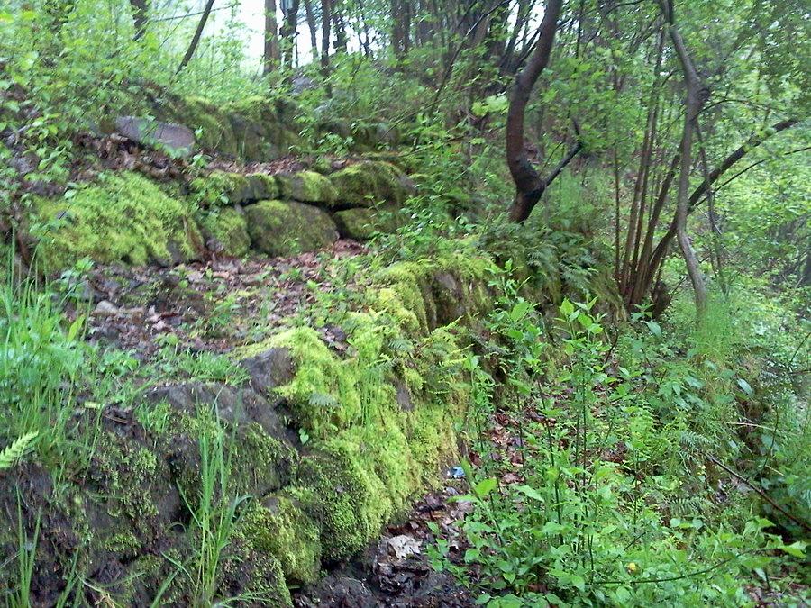 Taliańskie schody czyli umocnienie skarpy po włosku