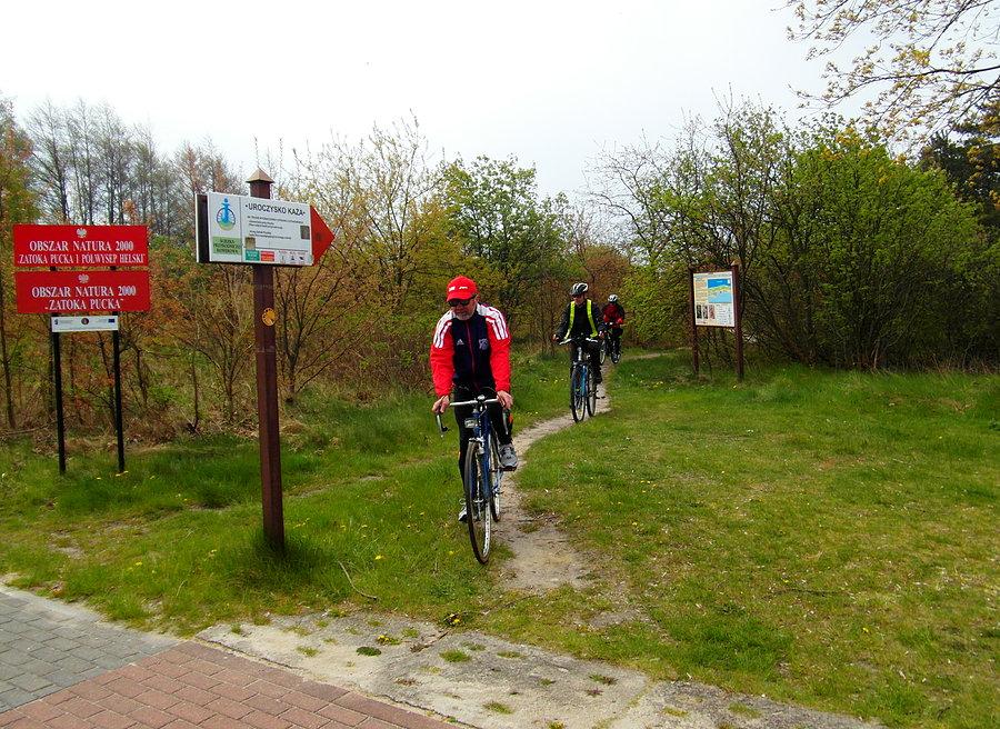Ścieżka przyrodniczo – rowerowa na Półwyspie Helskim