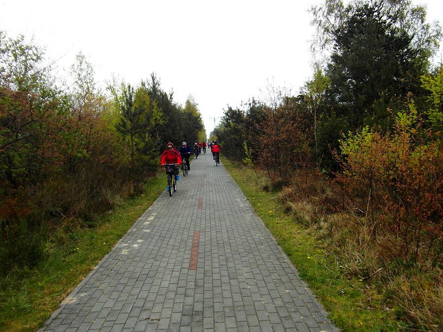 Ścieżka rowerowa na Półwyspie Helskim