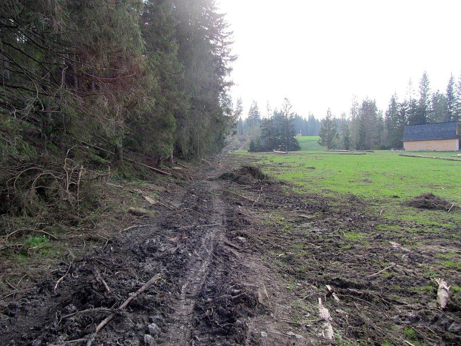 Błotko na drodze pod Reglami