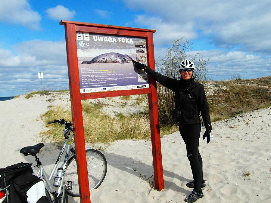 Plaża na Helu- piękny biały piasek i niebiesko-turkusowe morze