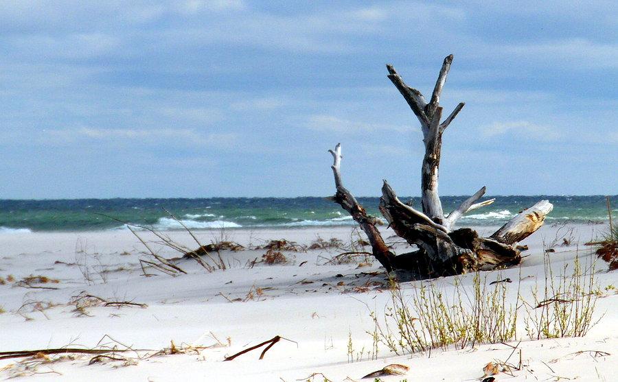 Plaża na Helu- piękny biały piasek i niebiesko-turkusowe morze