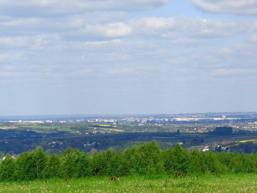 Rzeszów widziany z daleka