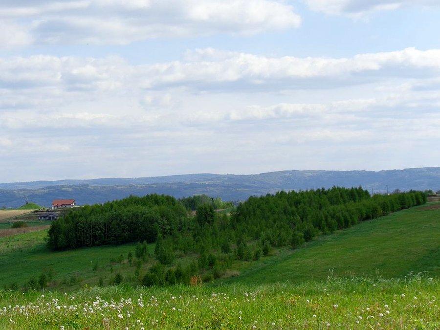 Górskie widoki