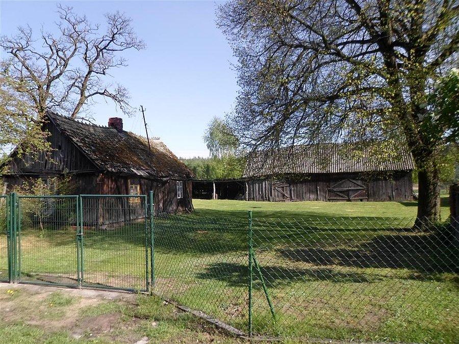Obejście we wsi Budy w Puszczy Kampinoskiej