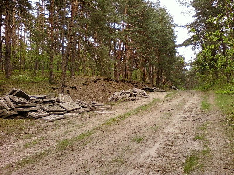 Czerwony szlak - piach