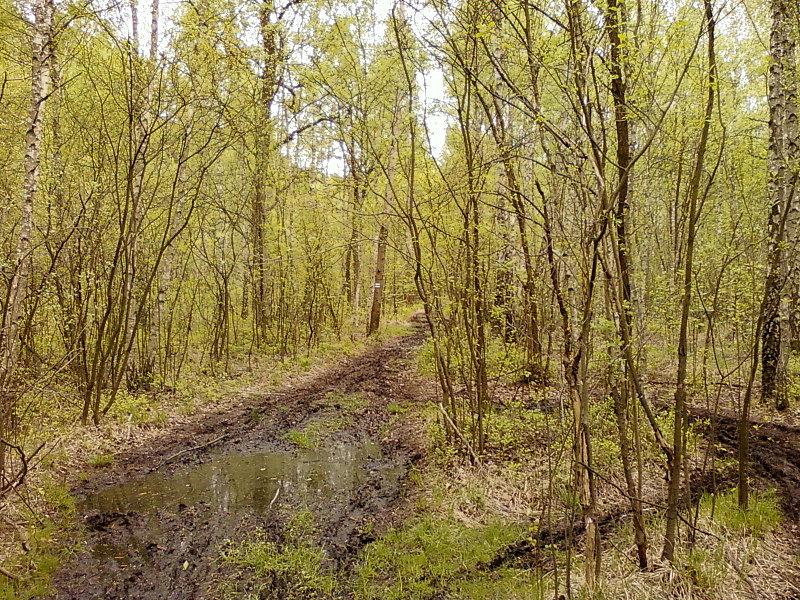 Czerwony szlak - błoto