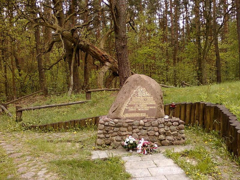 Sosna Powstańców 1863r
