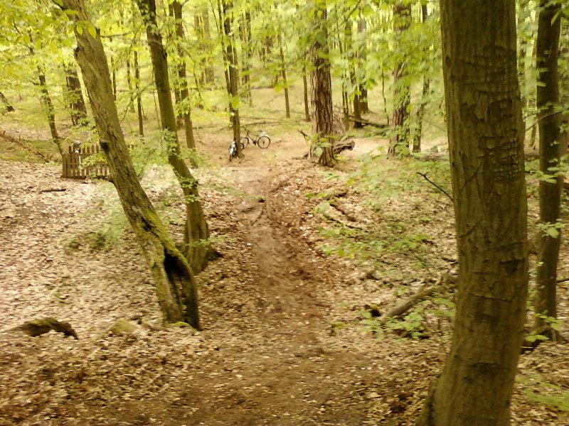 Widok z Zamczyska