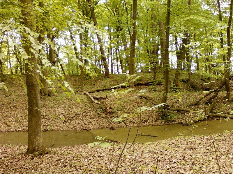 Zamczysko