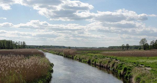 Rzeka Krzna. Widok z mostu w Styrzyńcu