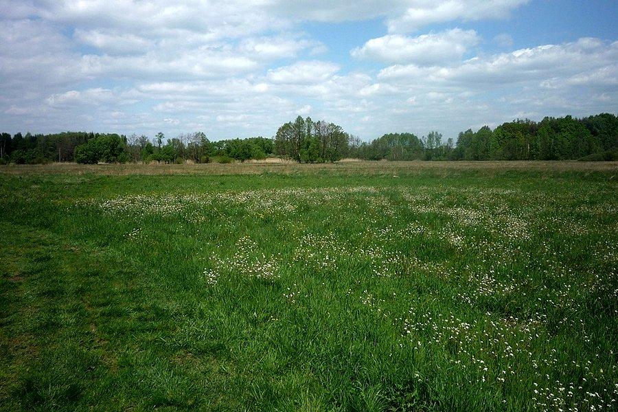 Kraina Jeziorki
