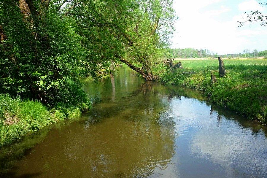 Jeziorka