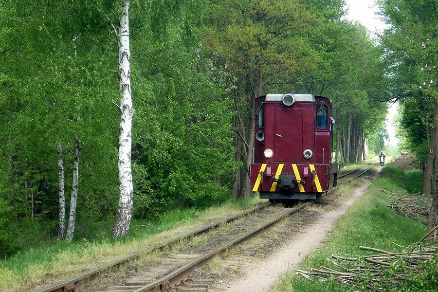 Kolejka wąskotorowa Piaseczno-Tarczyn
