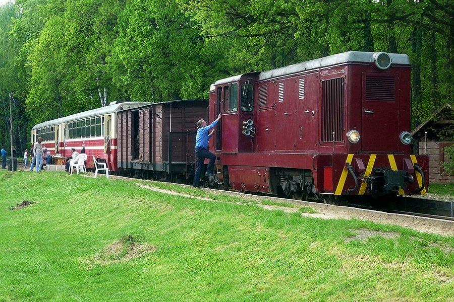 Kolejka wąskotorowa Piaseczno-Tarczyn